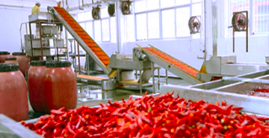 食品加工和包裝機械展覽會，調味品、添加劑及糧油加工,青島食品機械展,藍博食品機械展,青島藍博國際會展有限公司,藍博會展